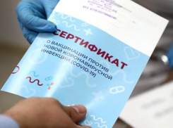 Что грозит новороссийцам за подделку ковидных справок 