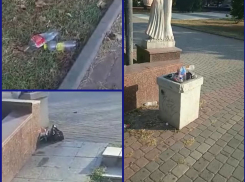 Мусор не вывозят, газоны не чистят: центр Новороссийска напоминает бомжатник