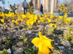 Ракам день подарит гармонию, а Весам пригодятся аналитические возможности