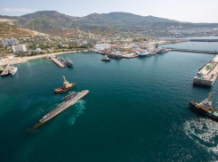 Будут стрелять: новороссийцев просят не паниковать утром и вечером