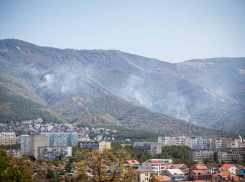 Что известно о лесном пожаре в Геленджике к этому часу 