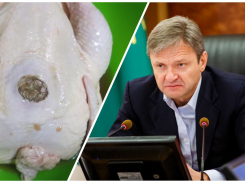 «Ткачевская» курица с сюрпризом попалась жителям Новороссийска 