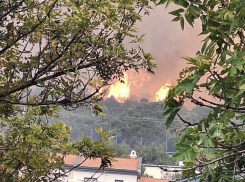 Огонь распространяется очень быстро: в Дюрсо горит лес 