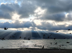 Погода в Новороссийске: дождь может застать врасплох 