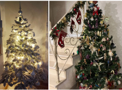 Такие разные, но такие красивые: новогодние елки читателей «Блокнота»