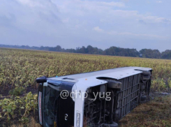 На трассе Краснодар–Новороссийск автобус с пассажирами улетел в кювет