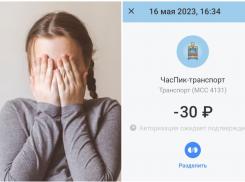 «Водитель наживается на детях»: с девочки взяли двойную оплату в новороссийской маршрутке 