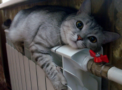 Новороссийск готовится к зиме: ждать ли горячих батарей в квартирах