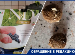 Корм с червями: новороссийцы переживают за здоровье питомцев 