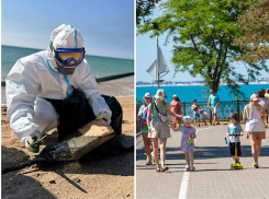 В Анапе откроют курортный сезон и проведут заплыв «За чистое море»