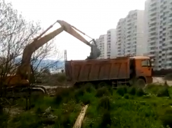 Активистка Пионерской рощи сообщила о том, что была избита строителями за видеосъëмку