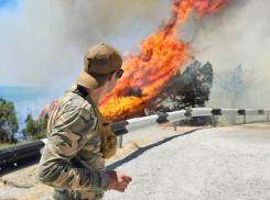 Пожар, оставивший пепелище – пожарные приехали через полчаса: новороссиец рассказал, как это было   