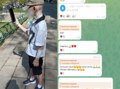 Как накажут хозяина хаски, которые разорвали лицо ребенку из Сочи 
