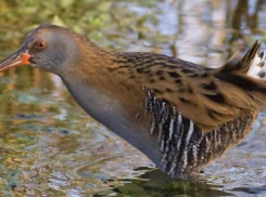 Прилетели в Новороссийск «понаехи» из Челябинска, Тюмени, с Таймыра – любуйтесь!