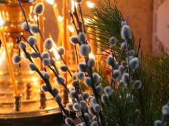 Вербное воскресенье: когда и где новороссийцы смогут освятить вербы 