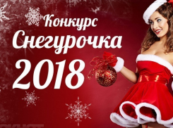 Стал известен список финалисток конкурса «Снегурочка-2018»