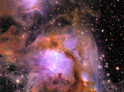 Гороскоп от “Блокнота” на 25 мая: звезды предсказывают Весам успех, а Стрельцам — интересные знакомства