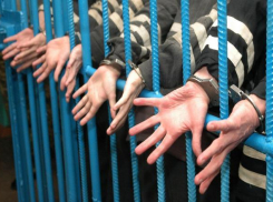 За период карантина в Новороссийске преступность снизилась более чем в два раза