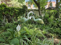 Гороскоп от «Блокнота»: рыбы разберутся в чувствах, а тельцы обратят внимание на финансы 