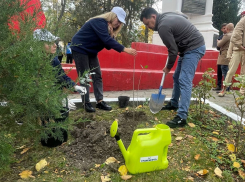 Настоящее единство: АО «Черномортранснефть» подарило Новороссийску спецтехнику и саженцы сирени