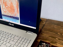 Карманники не дремлют — из открытой сумки жительницы Новороссийска украли кошелек