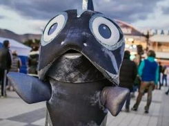 «ХамсаФест» в Новороссийске: будет ли праздник