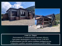 Прилавок вместо города: в Новороссийске разоблачили сеть нелегальных торговых точек
