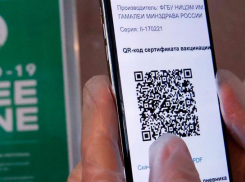 Как покупка поддельных QR-кодов может обернуться для новороссийцев штрафами и даже тюрьмой