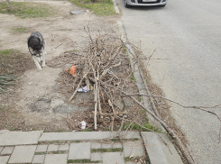 «Никогда не было такого!», - новороссийцы возмущены беспорядком на улице 