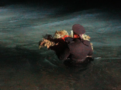 Матросская «Бескозырка» в очередной раз ушла в море в Новороссийске