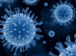 Коронавирус «обиделся» на новороссийцев