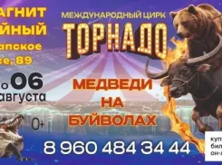 Цирк «Торнадо» - грандиозное шоу в Новороссийске!