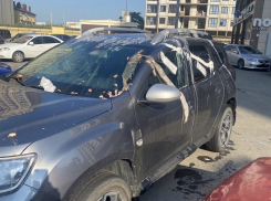 Селедка, сметана и прокладки: блондинка из Новороссийска испортила чужой автомобиль из мести 