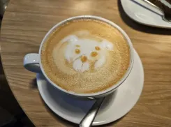 Козерогам пора строить планы, а Стрельцам – обращать внимание на мелочи