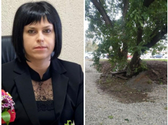 Парковка, пандус и лавочки: что появится в сквере в Приморском районе Новороссийска