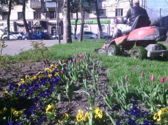 В период «черной полосы» в жизни человека  Новороссийск поможет заработать ему на хлеб без масла