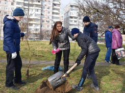 Неравнодушных новороссийцев призывают принять участие в очистке зеленых зон