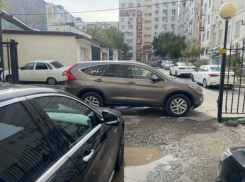 Новороссиец показал «мастер-класс» по парковке 