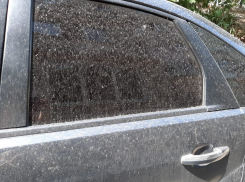 Грязные дожди: в Новороссийске зафиксировано превышение концентраций взвешенных веществ