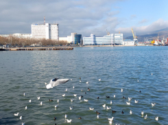 В понедельник в Новороссийске будет громко 