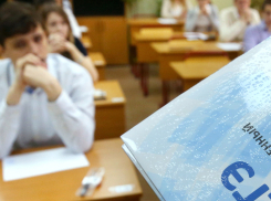 Досрочный ЕГЭ отменяется для юных жителей Новороссийска