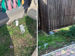 «Люди, убирайте за собой!» - жительница Новороссийска просит горожан стать порядочнее 