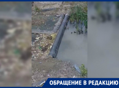 Новороссийцы обеспокоены состоянием реки Цемес