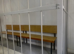 Новороссиец и его подруга ответят перед судом за «запрещенку»