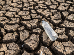 Что станет с Новороссийском к 2050—2070 годам и смогут ли люди выживать в такую жару