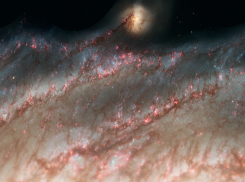 Гороскоп от “Блокнота” на 10 апреля: Ракам пора позаботиться о здоровье, а Водолеям — о родных и друзьях