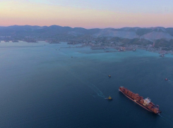 Новороссийский порт обжалует решение по тарифному делу о черных металлах