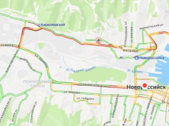 Водитель в Новороссийске возмущен причиной пробки на Анапском шоссе