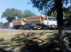 Вырастет к осени пшеница на автодорогах Новороссийска, - уверены горожане