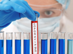 +27 больных за сутки: COVID-19 не оставляет новороссийцев 